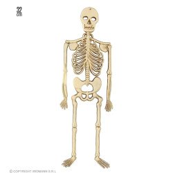 Pakabinamas skeletas 32 cm helovino šventinė atributika pigu