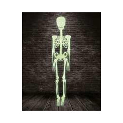 Kabantis fosforinis skeletas 150 cm | Helovinui