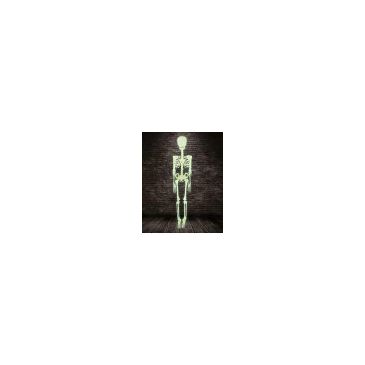 Kabantis fosforinis skeletas 150 cm | Helovinui