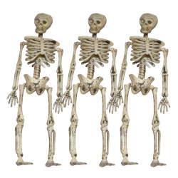 Kabantys mini skeletai 3 vnt. | Helovino dekoracija