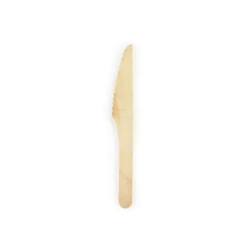 Mediniai įrankiai peiliai 16.50 cm 100 vnt šventės atributas